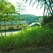 裏から見た建物
