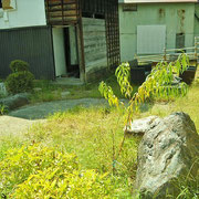これも前庭です。