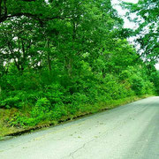 道路からも妙高山は見えます。