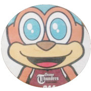 Bリーグ 川崎ブレイブサンダースさま