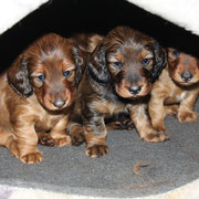 wir lieben unsere Kuschelhöhle