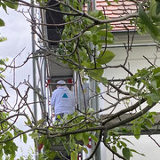 Fassadensanierung , Malerarbeiten , Fassade abgewaschen ,  faserarmiertem Streichvlies 2 x gestrichen ,dann 2 x mit mineralischer Fassadenfarbe Keim gestrichen 