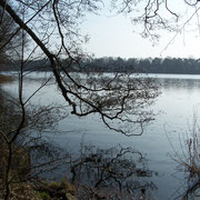 Blick auf den Summter See