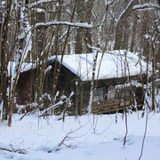 Bienenhaus im Winter