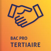 Plaquette Bac Pro Tertiaire