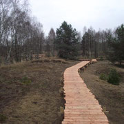 Besucherstege, Naturschutzgebiet Königsbrücker Heide, 2015