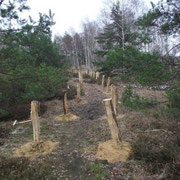 Besucherstege, Naturschutzgebiet Königsbrücker Heide, 2015