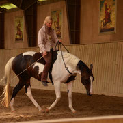 Christina Wagner Halsringreiten mit Paint Stute Jane