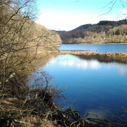 Vue de la frayère à brochet au Champs de l'Eau