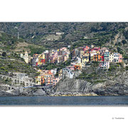 Manarola