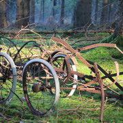 "Erinnerung" (2012), Fotografie