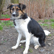 Unsere Sara