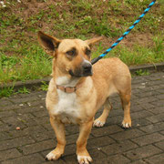 Unsere Lily