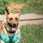 Unsere Lily