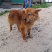 Unser Linus