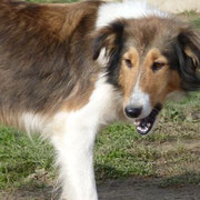 Unsere Kollina