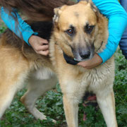 Unser Lexus