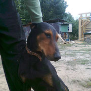 Unser Gregory
