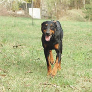 Unsere Delma