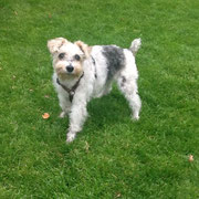 Unsere Fifi 
