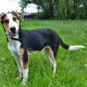 Unsere Amelka