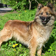 Unsere lisa