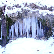 Cascata di ghiaccio. Foto di Barbara Monti