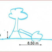 Wie hoch ist der Baum, der bei 2,50 m umgeknlckt ist und dessen Spitze 8,50 m entfernt auf dem Boden liegt?