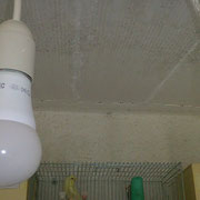Lampada led e lampadina blu 