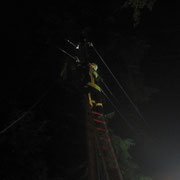Nach dem der Strom abgeschaltet wurde, wurde das Kabel gekappt.