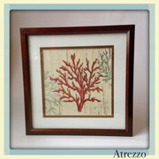 Cuadro Corales  / REF: CUA-054 / 40 x 40 cms./ 1 unidad / Arriendo: $ 6.000 / Garantía: $ 25.000