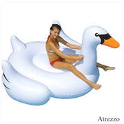 Flotador Grande CISNE / REF- VAR 054 / Medidas: 1,42 x 1,37 x 97 cms./ Arriendo: $ 8.000 / Garantía: $ 25.000 