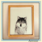 Cuadro LOBO / REF: CUA-061 / 40 x 30 cms./ 1 unidad / Arriendo: $ 7.000 / Garantía: $ 20.000