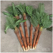 Plantas artificiales PALMERAS / 6 unidades  2 altas - 4 medianas/ Arriendo: $ 10.000 Y $12.000 / Garantía: $ 25.000 Y $35.000 c/u