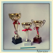 TROFEOS MEDIANOS / VARIOS: / ARRIENDO: $4.000 C/U / GARANTÍA $14.000 C/U