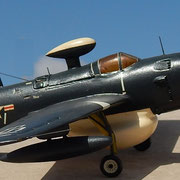 Grumman Guardian