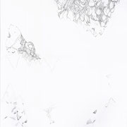 Detritus, Serie La colmena, grafito sobre papel Basic, 100 x 70 cm.