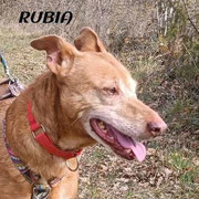 RUBIA