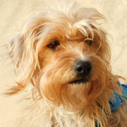 Nereida adoptée en Seine-Saint-Denis