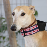 Martina adoptée dans la Somme