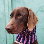 Lussy adoptée dans le Rhône