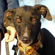 Dita adoptée en Espagne