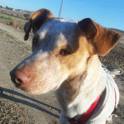 Kim adopté en Espagne