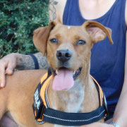 Floky adopté en Charente-Maritime