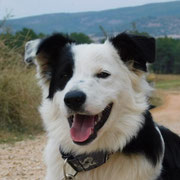 Kefren adopté dans le Nord