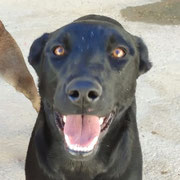 Tita adoptée dans la Meuse