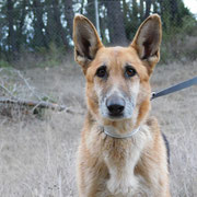 Claire adoptée en Espagne
