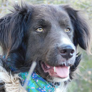 Sila adoptée dans l'Eure