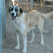 JABO parrainé par MURIEL