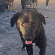 Miercoles adoptée en Espagne